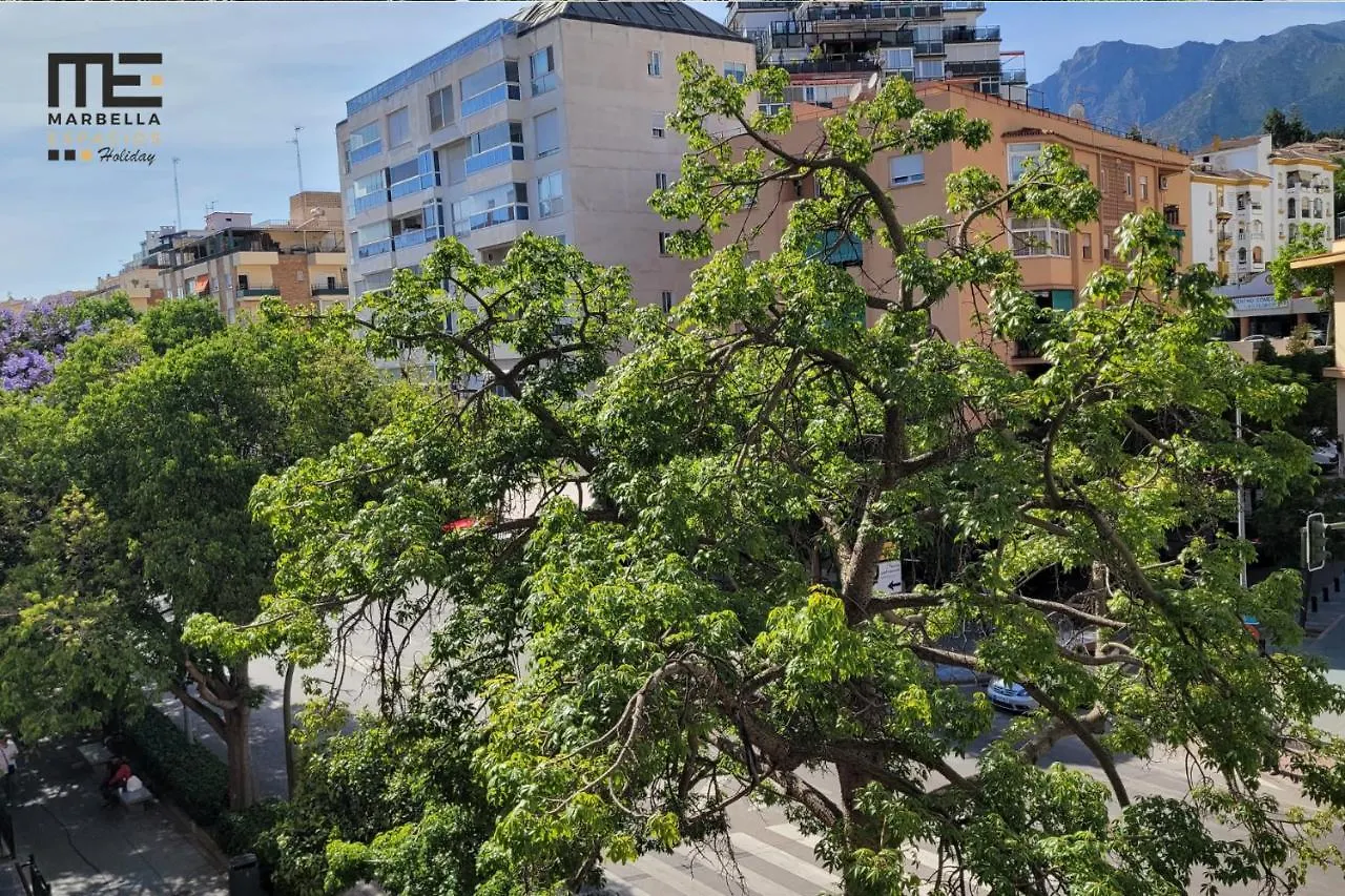Cute Apartment In The Heart Of Marbella 1 Bedroom